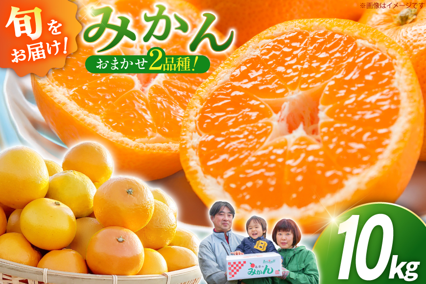 CC003 森崎果樹園のこだわり旬のみかんセット 10kg [みかん ミカン 旬 10キロ 長崎県 島原市]