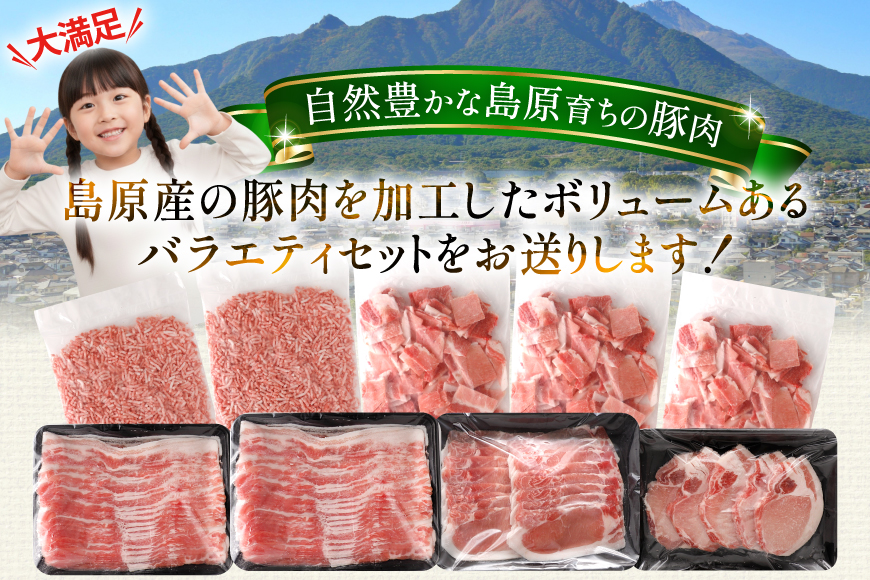 AJ666 島原育ちの豚肉セット 計4.5kg [ 豚肉 ぶた 豚ロース とんかつ用 豚バラ しゃぶしゃぶ 薄切り 豚小間 こま切れ 豚ミンチ セット 小分け バラエティ スターゼン株式会社 長崎県 島原市]