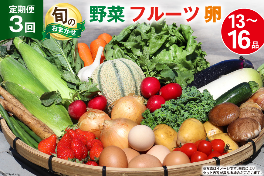 BD158 【3回定期便】 野菜・フルーツ・卵 旬のおまかせセット （野菜･フルーツ13～16種、卵6玉） [ 野菜セット 野菜 フルーツ 果物 たまご 鶏卵 産地直送 厳選 長崎県 島原市 送料無料]