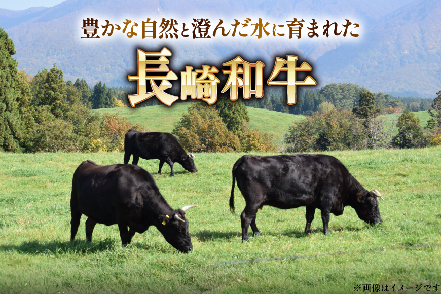 AK024 長崎和牛 サーロイン ステーキ 250g 2パック 計500g [ 牛肉 肉 和牛 ステーキ ロース サーロインステーキ BBQ バーベキュー 焼肉 アウトドア 長崎県 島原市 ]
