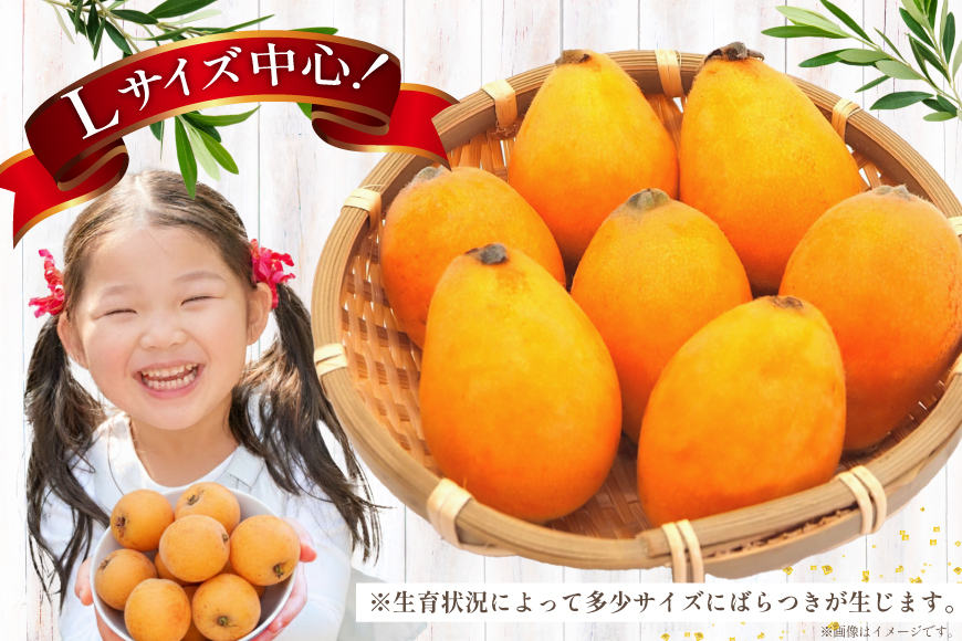 AF220【令和9年度出荷分】びわ 果汁たっぷり！川田さん家の温室栽培びわ 500g [ びわ ビワ 枇杷 フルーツ 果物 くだもの 国産 先行予約 川田農園 長崎県 島原市 ]