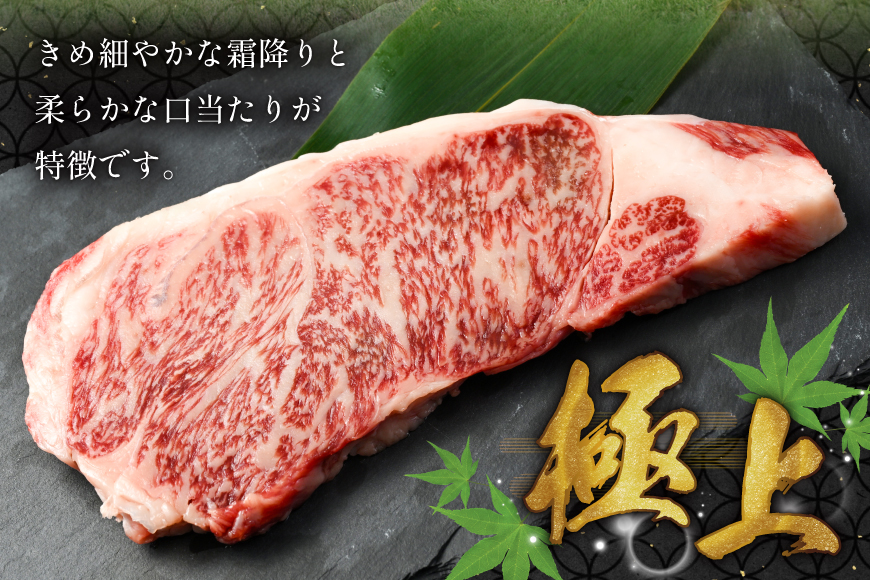 AK023 長崎和牛 サーロイン ステーキ 250g [ 牛肉 肉 和牛 ステーキ ロース サーロインステーキ BBQ バーベキュー 焼肉 アウトドア 長崎県 島原市 ]