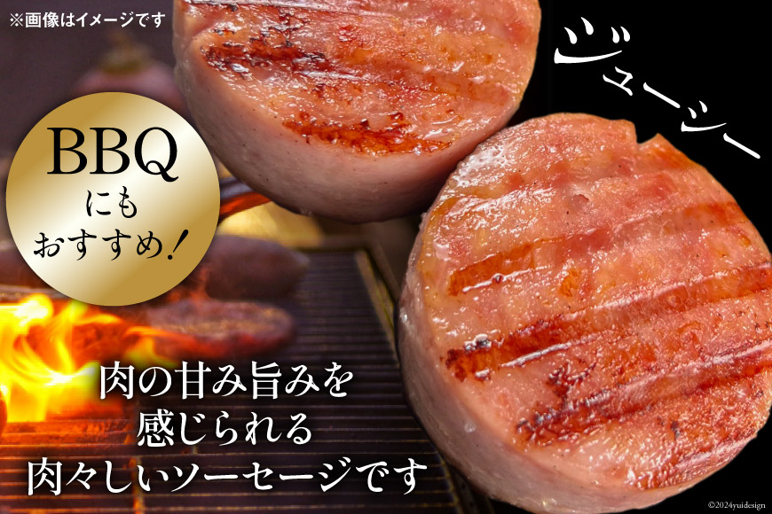 AJ278 総重量8kg！特大！島原ハム ポークソーセージ 800g 10本 セット [ ハム ボロニアソーセージ 大光食品 長崎県 島原市 ]