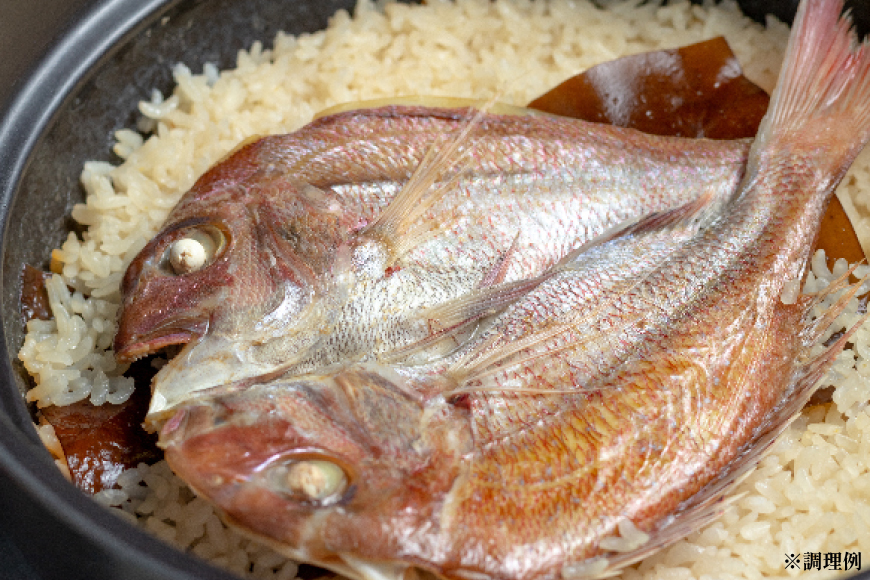 AJ718 真鯛フィーレ （ 切り身 約150g×3パック ) 干物 セット 6〜8匹 （ 3〜5種類 ）[干物セット 詰め合わせ 真鯛 まだい 鯛 タイ 天然 鮮魚 切り身 魚 白身魚 新鮮 骨なし 骨取り 小分け 手軽 真空パック 国産 株式会社 入千代商店 長崎県 島原市]