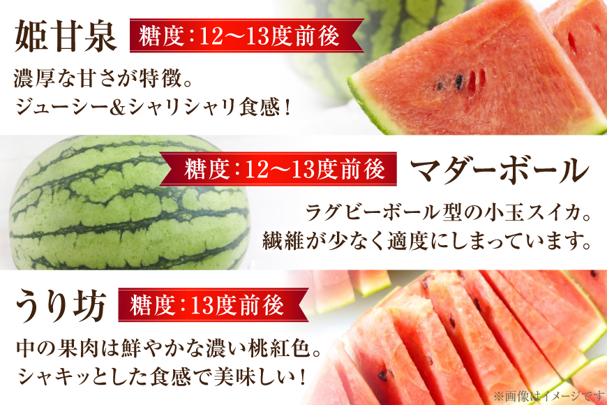 CG083 フルーツ 定期便 全4回 厳選！島原の人気フルーツ定期便 [ 旬 果物 詰め合わせ 食べ比べ セット いちご メロン すいか キウイ 長崎県 島原市 ]