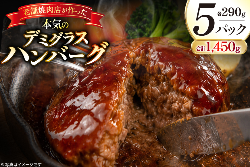 AJ638 デミグラスハンバーグ290g 5パック [ 牛肉 豚肉 国産 合挽 ギフト 御中元 御歳暮 湯煎 竹林 つばきグリル 株式会社プラス1 長崎県 島原市 ]