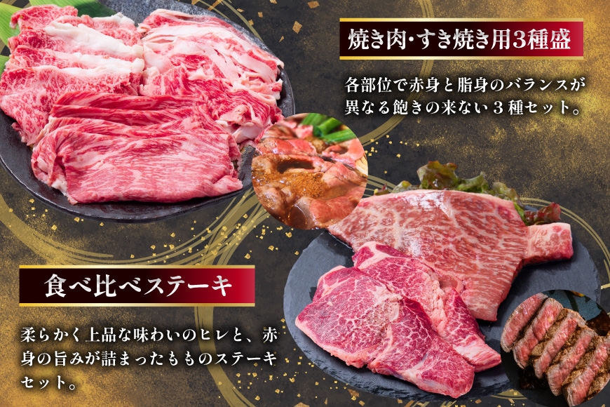 AJ670 【12回定期便】 長崎和牛 スタンダードコース [ 長崎和牛 定期便 和牛 お肉 肉 牛 牛肉 国産 ステーキ 焼肉 もも モモ バラ肉 スネ肉 ブロック ロース すき焼き しゃぶしゃぶ サーロイン カルビ ミンチ ひき肉 ヒレ トモサンカク シキンボ 水田精肉店 長崎県 島原市 ]
