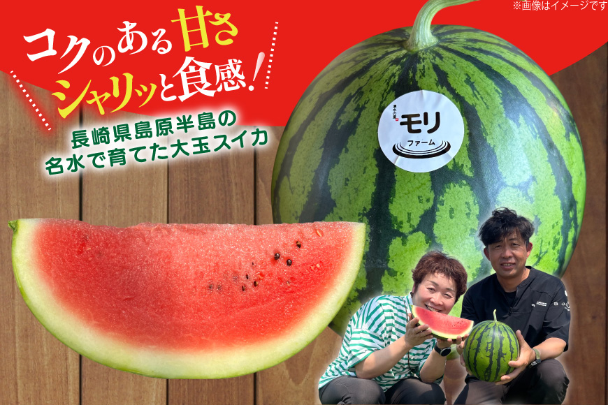 AJ459 【令和8年度出荷分】 湧水の里 モリファーム 中玉スイカ プチット M〜L 5〜7kg 1玉 [ 先行予約 数量限定 中玉 スイカ 西瓜 フルーツ 果物 長崎 長崎県 島原市 ]