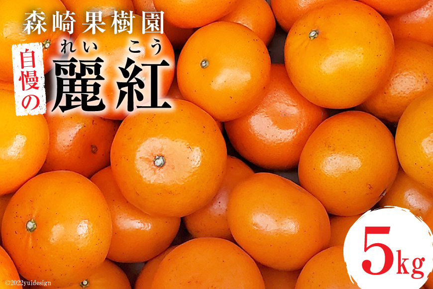 BD021 森崎果樹園自慢の『麗紅（れいこう）』5kg [みかん ミカン れいこう 麗紅 5キロ 果物 森崎果樹園 長崎県 島原市]