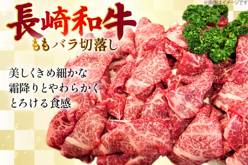 AJ577 【3回定期便】長崎和牛 切り落とし (もも・バラ) 約1kg (500g×2P) [ 肉 牛肉 和牛 高級 おいしい ステーキ肉 まるしん商会 黒牛 長崎県 島原市 ]