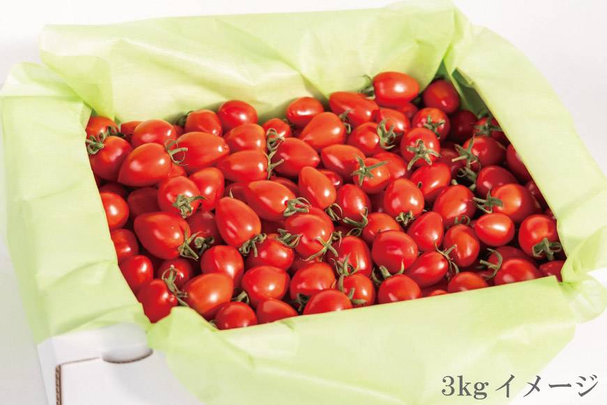 AG141【3回定期便】朝採れミニトマト たっぷり！トマトベリー 3kg