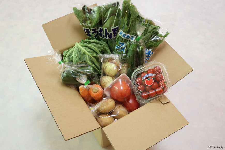 AI022【10～5月限定出荷】こむたの旬の野菜つめあわせ(8～10品目)おまかせ M セット 【 野菜 やさい 旬 種類 人気 オススメ 新鮮 詰め合わせ こむた 小無田 青果 長崎県 島原市 】