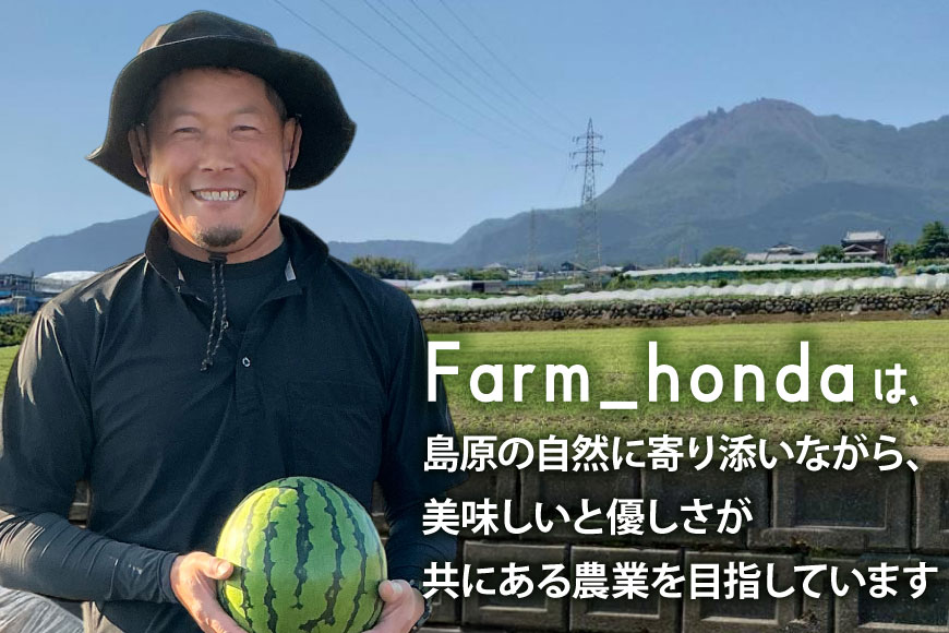 AJ462 【令和8年度出荷分】 Farm honda 小玉スイカ 3〜5玉 約10kg [ 先行予約 数量限定 小玉 スイカ 西瓜 フルーツ 果物 長崎 長崎県 島原市 ]