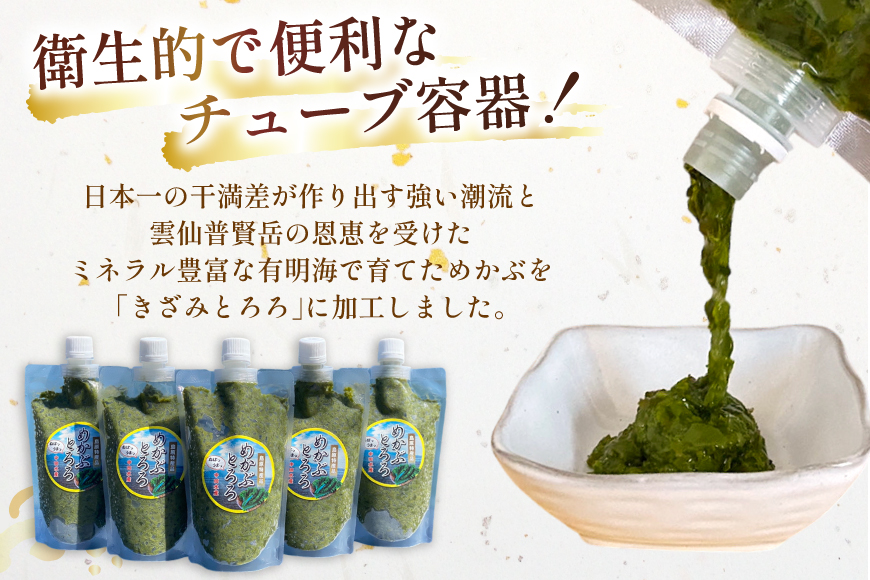 AJ661 めかぶ 有明海産 無添加めかぶとろろ 250g×10パック 定期便 6回 隔月 [ きざみめかぶ とろろ わかめ 海藻 無添加 冷凍 小分け チューブ ご飯のお供 中田水産 長崎県 島原市 ]