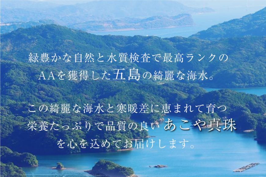 BI391 Marycoco あこや本真珠 8mm 一粒 パールネックレス サークルモチーフ ケース付 [N501R ネックレス 一粒ネックレス パール 真珠 アコヤ真珠 本真珠 ジュエリー アクセサリー 金属アレルギー対応 メアリーココ 長崎県 島原市 ]