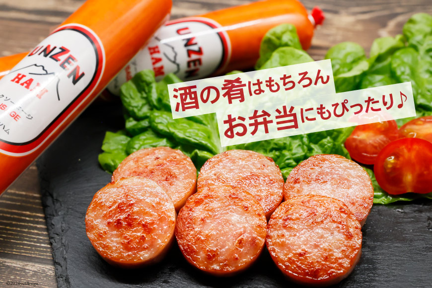 AI002 雲仙ハム ソーセージ小 300g×2本 【 絶品 人気 ハム ウインナー ソーセージ おつまみ 肉 お弁当 おかず 小分け 便利 国産 豚肉 お歳暮 お中元 長崎県 島原市 送料無料 】