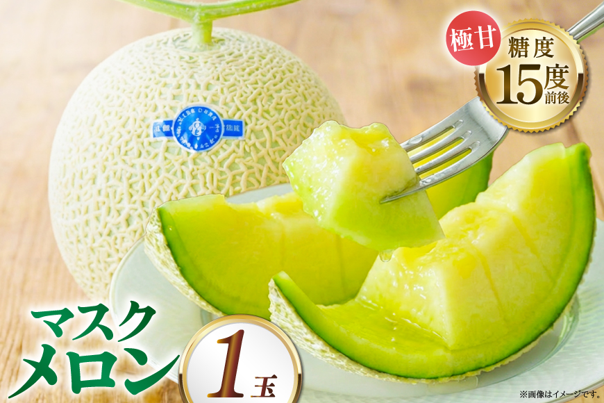 【期間限定発送】AB010 その道一筋の生産者がじっくり丁寧に育てた マスクメロン 1玉入