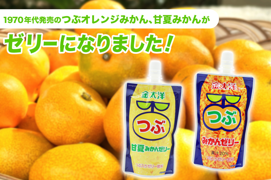AJ235 金太洋 つぶみかんゼリー つぶ甘夏みかんゼリー 150gパウチ×各1個 [株式会社島原観光ビューロー 長崎県 島原市] みかん オレンジ ゼリー おやつ つぶつぶ ゼリージュース