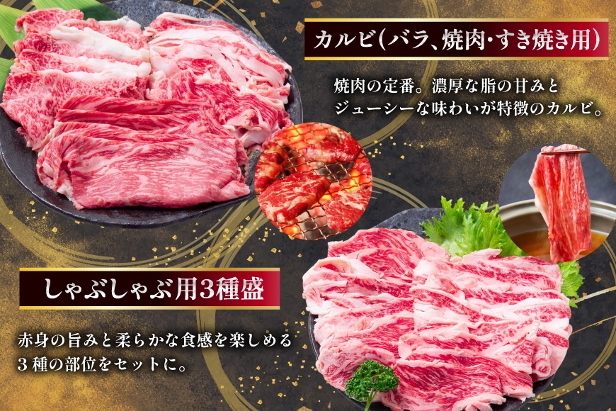 AJ669 【6回定期便】長崎和牛 トライアルコース [ 長崎和牛 和牛 お肉 肉 牛 牛肉 国産 ステーキ 焼肉 もも ロース すき焼き しゃぶしゃぶ サーロイン カルビ ミンチ ひき肉 水田精肉店 長崎県 島原市 ]