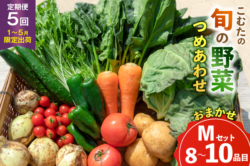 AJ434 【5回定期便】【1〜5月限定出荷】こむたの旬の野菜 (8〜10品目) おまかせMセット [ 野菜 やさい 旬 定期便 野菜セット 種類 人気 オススメ 新鮮 詰め合わせ 詰合せ こむた 小無田 青果 長崎県 島原市 ]