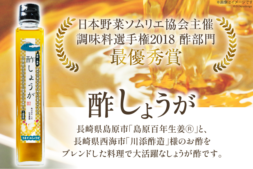 AI202 酢しょうが 230g 1本 [ 生姜 しょうが ショウガ 調味料 酢 松本農園 人作 長崎県 島原市 ]