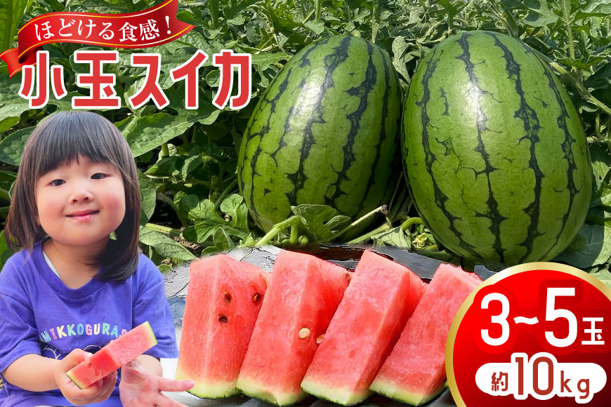 AJ462 【令和8年度出荷分】 Farm honda 小玉スイカ 3〜5玉 約10kg [ 先行予約 数量限定 小玉 スイカ 西瓜 フルーツ 果物 長崎 長崎県 島原市 ]