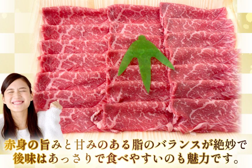 AJ558 【12回定期便】長崎和牛 もも スライス 約1kg (500g×2P) [ 肉 牛肉 和牛 高級 おいしい ステーキ肉 まるしん商会 黒牛 長崎県 島原市 ]