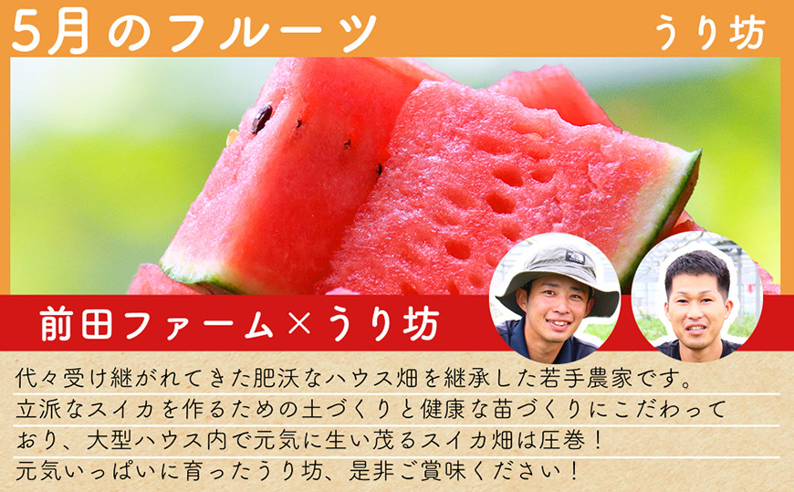 DH106 【令和9年度出荷分】【春〜夏季】フルーツ定期便（全4回） ハウスびわ 小玉スイカ 小玉メロン 梨 [ 果物 フルーツ びわ すいか メロン ナシ 長崎県 島原市 ]