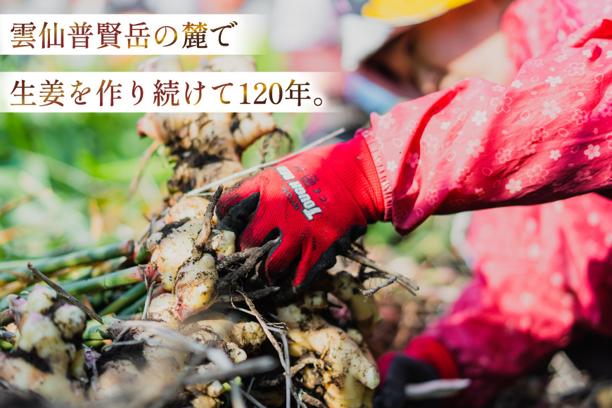 AJ680 薬味屋人作の生姜ギフトセット（生姜炊き込みご飯の素130g×2箱、おかかdeしょうが100g×1個、みそdeしょうが100g×1個、しょうが焼のたれ150g×1本） [ 炊き込みご飯の素 混ぜご飯 薬味 ご飯のお供 生姜 しょうが ショウガ 味噌 みそ 焼肉のたれ たれ タレ 保存料 添加物 不使用 国産 松本農園 人作 長崎県 島原市 ]