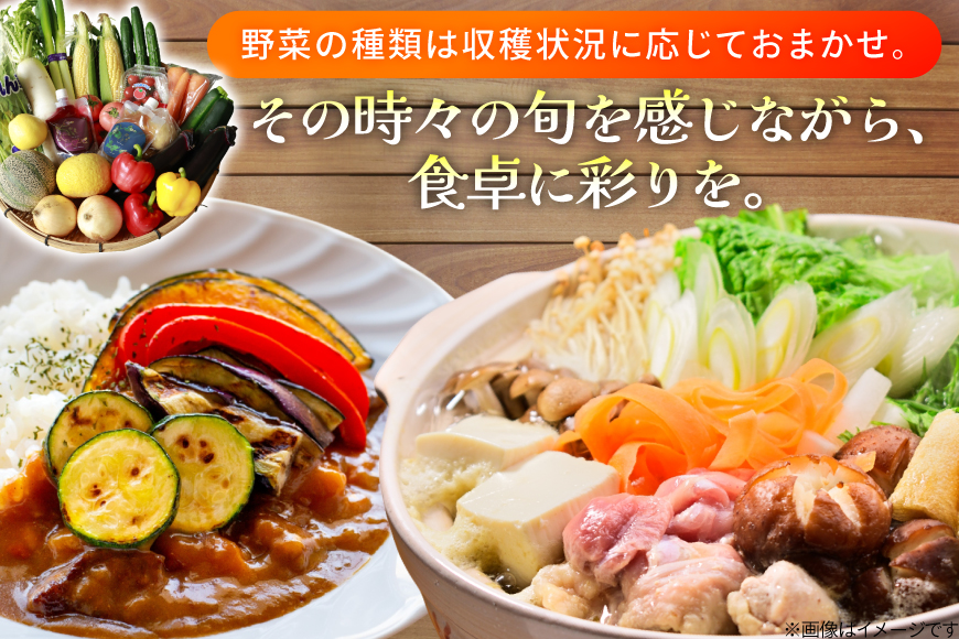 AJ315 季節の野菜・果物セット 13〜15品 しそジュース付き [ 野菜 詰合せ 長崎県 島原市 ]