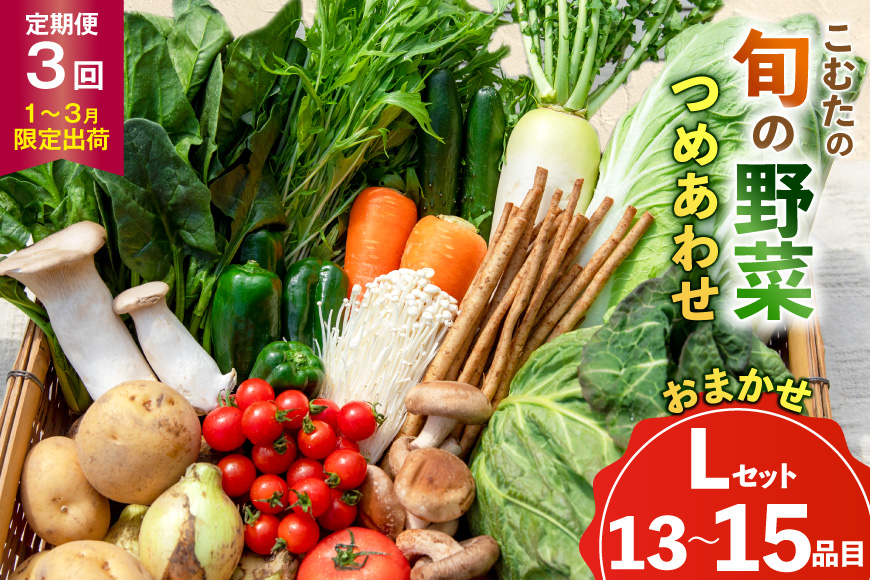 AJ435 【3回定期便】【1〜3月限定出荷】こむたの旬の野菜 (13〜15品目) おまかせLセット [ 野菜 やさい 旬 定期便 野菜セット 種類 人気 オススメ 新鮮 詰め合わせ 詰合せ こむた 小無田 青果 長崎県 島原市 ]