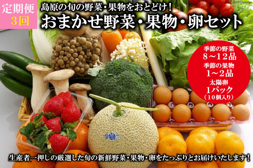 【定期便】【3回】島原の旬の野菜・果物！おまかせ野菜・果物・卵セット