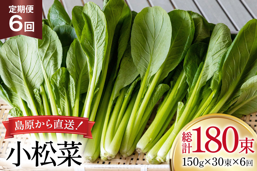 AI333 定期便 6回 小松菜 30束 [ 野菜 こまつな やさい 冷蔵 葉物野菜 田中農園 長崎県 島原市 ]