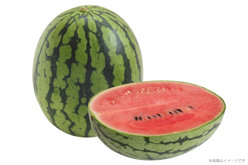 AJ645 【令和8年度出荷分】 島原スイカ倶楽部 小玉スイカ うり坊 3〜5玉 計9〜12kg [ 先行予約 数量限定 小玉 うり坊 スイカ 西瓜 フルーツ 果物 長崎 長崎県 島原市 ]