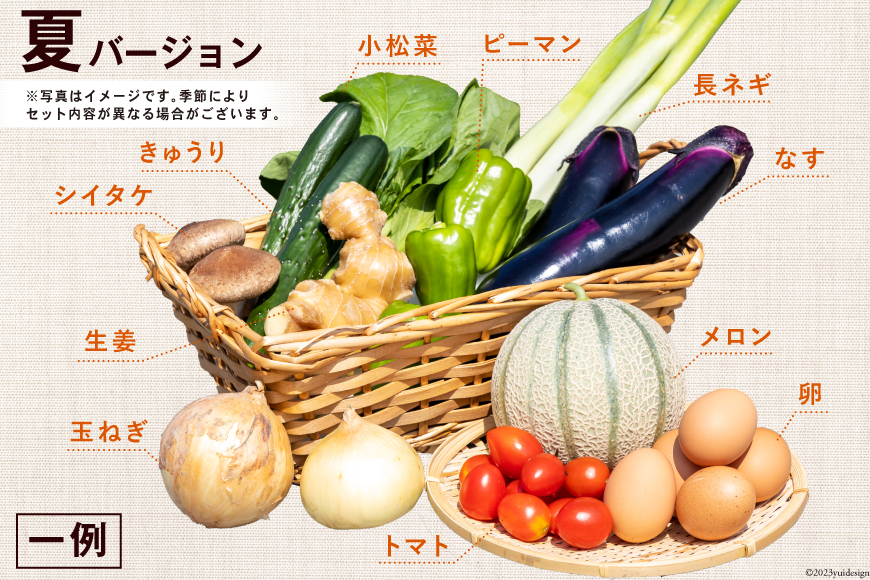 【定期便】野菜・フルーツ・卵　旬のお任せセットA　12回お届け