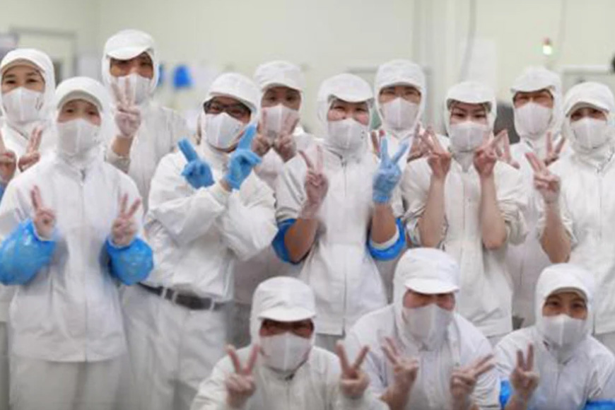 BJ026 岩崎本舗 【6回定期便】長崎角煮まんじゅう 8個入 (箱) [長崎県 島原市]