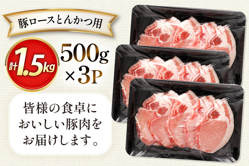 AK033 豚ロース とんかつ用 500g 3パック 計1.5kg [ 豚肉 ロース 小分け 肉 お肉 BBQ バーベキュー 焼肉 アウトドア スターゼン 長崎県 島原市 ]