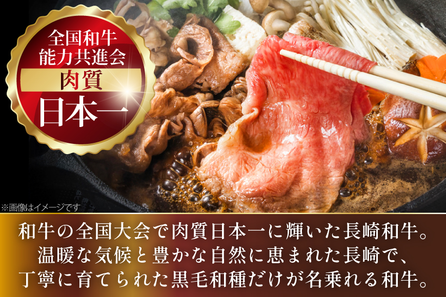 AJ553 【3回定期便】長崎和牛 もも スライス 約500g [ 肉 牛肉 和牛 高級 おいしい ステーキ肉 まるしん商会 黒牛 長崎県 島原市 ]
