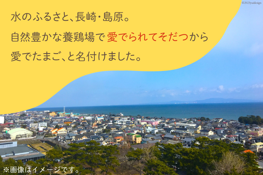 AH110 【3回定期便】愛でたまご 3種セット 30個 【 たまご 卵 島原市 養鶏場 直送 定期便 】