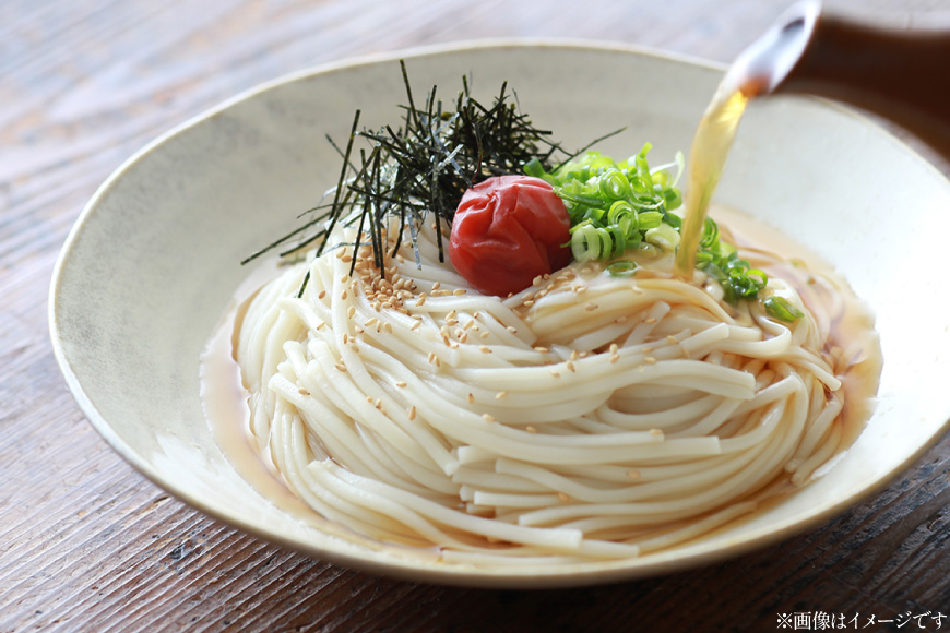 AJ298 島原 手のべうどん 1kg (50g×5束×4袋) [ うどん 手延べうどん 島原 手延べ 細うどん 乾麺 国内製造 塚原食品本舗 長崎県 島原市 ]