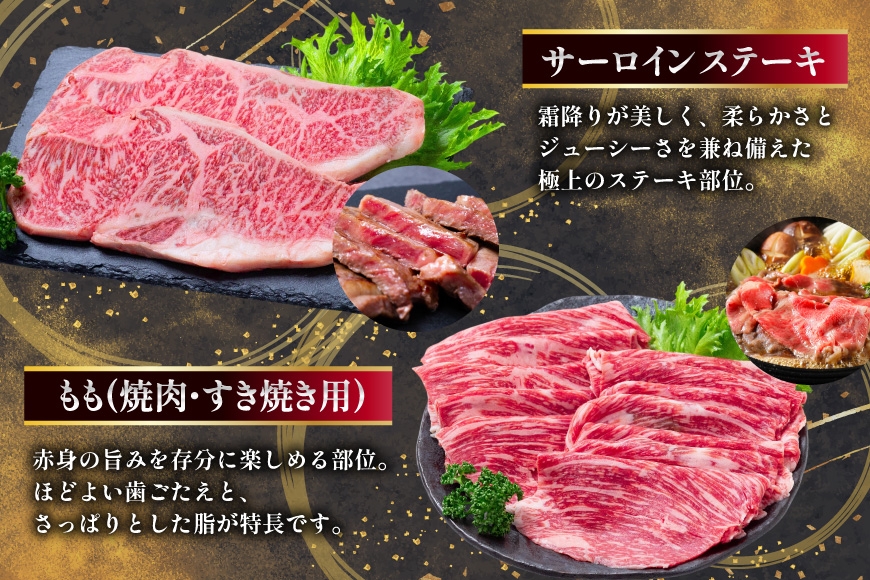 AJ669 【6回定期便】長崎和牛 トライアルコース [ 長崎和牛 和牛 お肉 肉 牛 牛肉 国産 ステーキ 焼肉 もも ロース すき焼き しゃぶしゃぶ サーロイン カルビ ミンチ ひき肉 水田精肉店 長崎県 島原市 ]