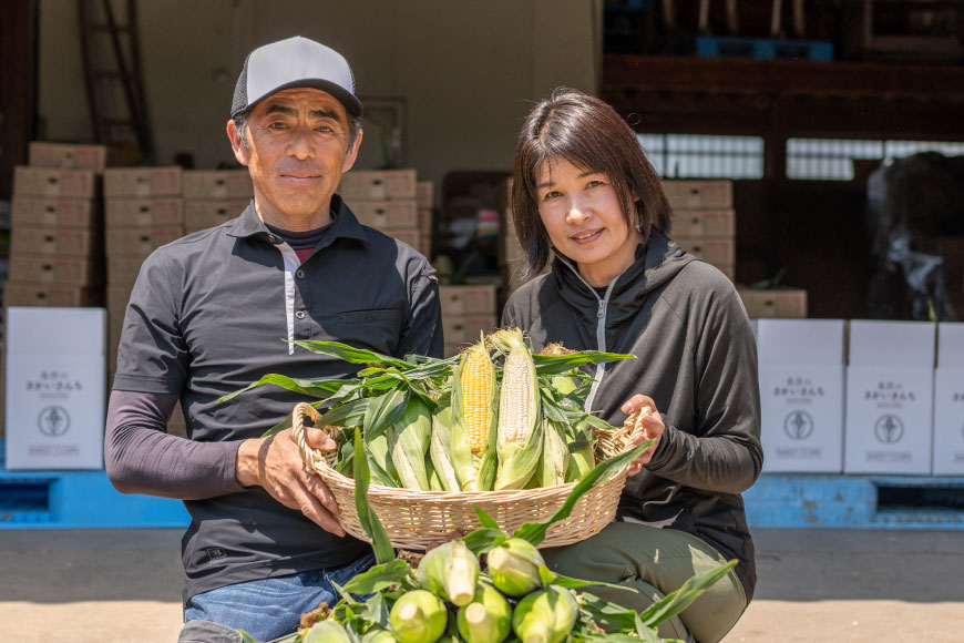 AI206 とうもろこし スイートコーン ホワイト 5kg 10〜12本 [ トウモロコシ コーン ホワイトコーン 野菜 5キロ さかいさんち SAKAI FARM 長崎県 島原市 ]