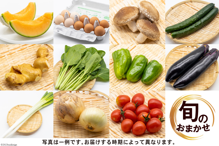 【定期便】野菜・フルーツ・卵　旬のお任せセットA　12回お届け