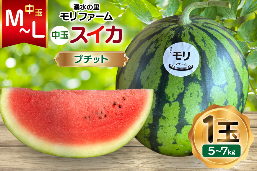 AJ459 【令和8年度出荷分】 湧水の里 モリファーム 中玉スイカ プチット M〜L 5〜7kg 1玉 [ 先行予約 数量限定 中玉 スイカ 西瓜 フルーツ 果物 長崎 長崎県 島原市 ]