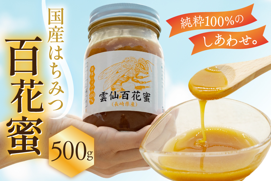 AJ445 はちみつ 国産 百花蜜 500g 1個 日本ミツバチ 純粋 100% [ 安中梅林を育てる会 蜂蜜 ハチミツ 非加熱 無添加 長崎県 島原市 ]