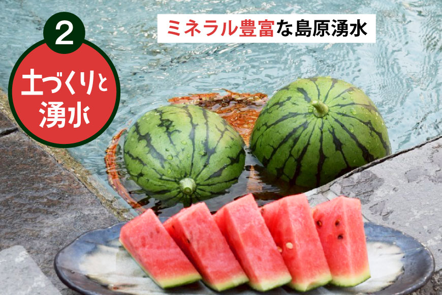 AJ461 【令和8年度出荷分】 Farm honda 小玉スイカ 2玉 計5kg [ 先行予約 数量限定 小玉 スイカ 西瓜 フルーツ 果物 長崎 長崎県 島原市 ]