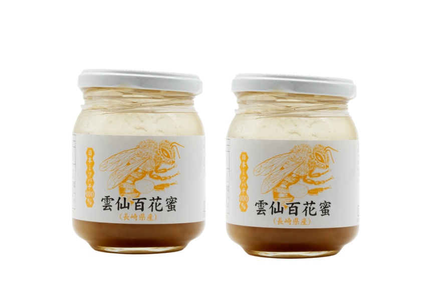 AJ444 はちみつ 国産 百花蜜 250g 2個 日本ミツバチ 純粋 100% [ 安中梅林を育てる会 蜂蜜 ハチミツ 非加熱 無添加 長崎県 島原市 ]