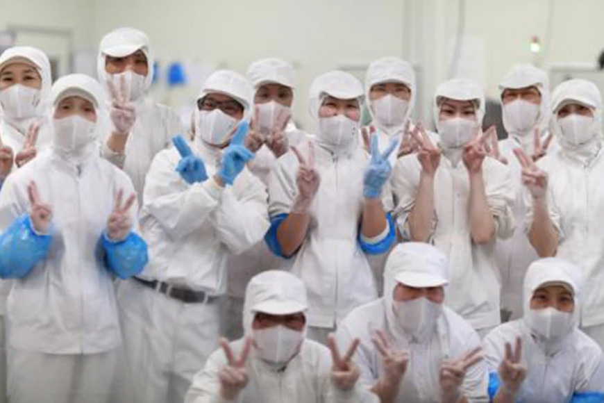 BJ042 岩崎本舗 【12回定期便】長崎角煮まんじゅう 20個入 (箱) [長崎県 島原市]