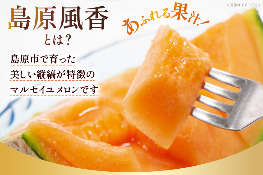 BD201【令和8年度出荷分】マルセイユメロン～島原風香～（3L×2玉） [農事組合法人　『舞岳の里』生産組合 長崎県 島原市 BD201] メロン 赤肉 果物 くだもの フルーツ 産地直送