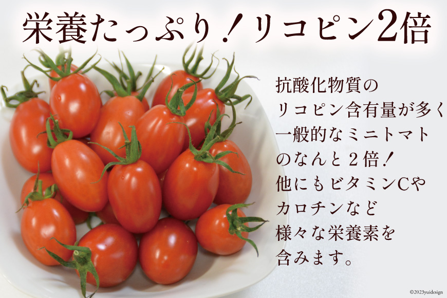 注目のブランドフルーツトマト 野菜